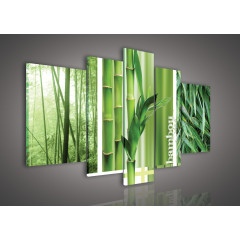 Bambusy 112 S4A - pětidílný